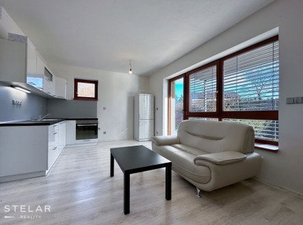 Pronájem bytu, 1+kk, 34 m²