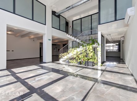 Pronájem kanceláře, 213 m²