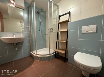 Pronájem bytu, 1+kk, 31 m²