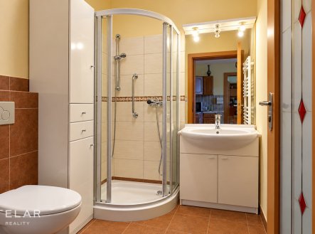 Pronájem bytu, 1+1, 52 m²
