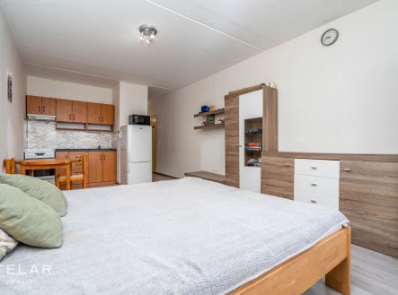 Prodej bytu, 1+kk, 30 m²