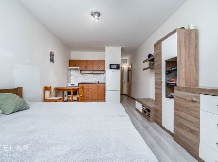 Prodej bytu, 1+kk, 30 m²