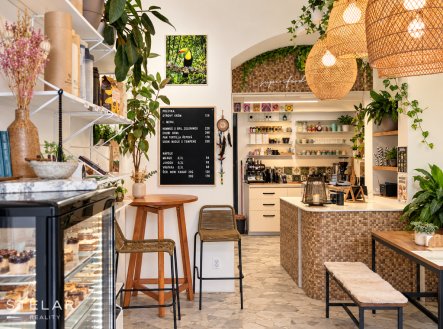 Pronájem obchodní prostory, 30 m²