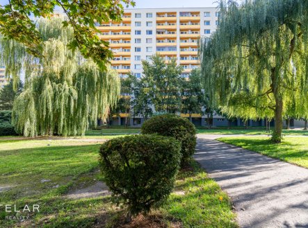 Prodej bytu, 1+kk, 30 m²