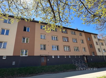 Prodej bytu, 1+1, 41 m²