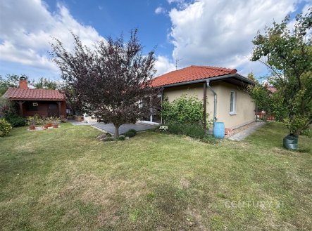 Pronájem domu/vily, 110 m²