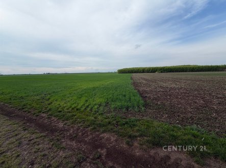 Prodej pozemku, zemědělská půda, 2 936 m² obrázek
