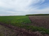 Prodej pozemku, zemědělská půda, 2 936 m²