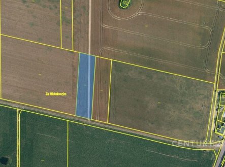Prodej pozemku, zemědělská půda, 2 936 m²