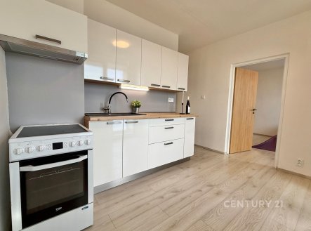 Prodej bytu, 1+1, 44 m²