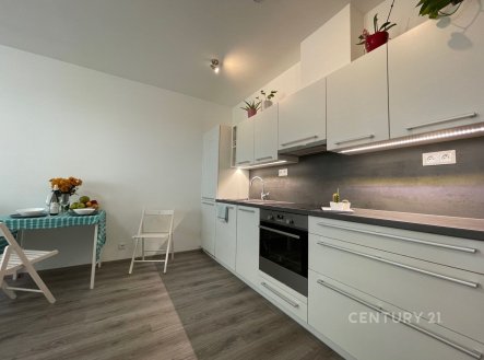 Pronájem bytu, 1+kk, 41 m²