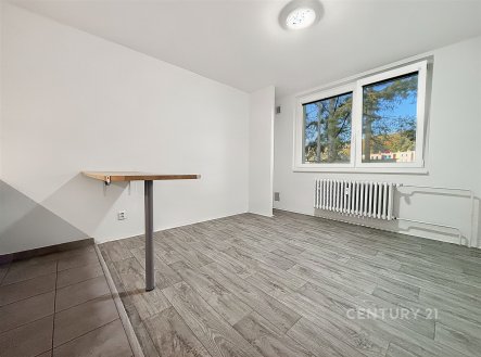Pronájem bytu, 1+kk, 23 m²