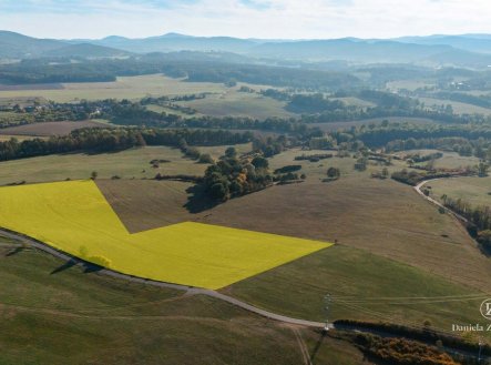 Prodej pozemku, trvalý travní porost, 26 111 m²
