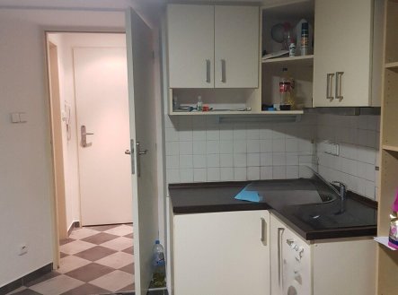 Pronájem bytu, 1+kk, 20 m²