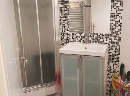 Pronájem bytu, 1+kk, 20 m²