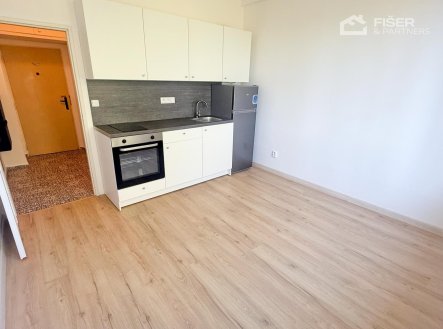 Pronájem bytu, 1+kk, 20 m²