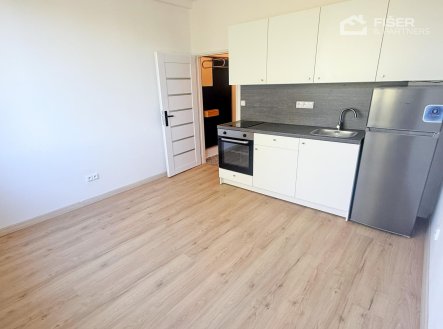 Pronájem bytu, 1+kk, 20 m²