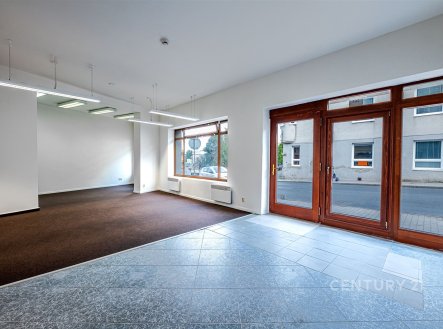 Pronájem domu/vily, 196 m²