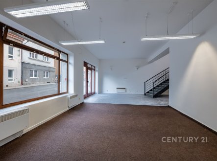 Pronájem domu/vily, 196 m²