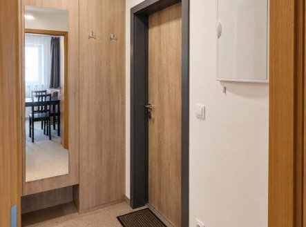 Pronájem bytu, 1+kk, 36 m²