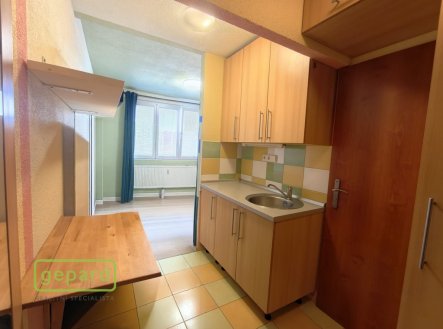 Pronájem bytu, 1+kk, 20 m²