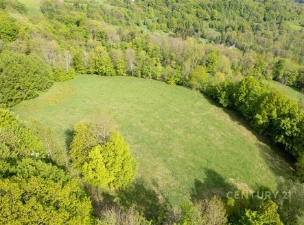 Prodej pozemku, ostatní, 27 274 m²