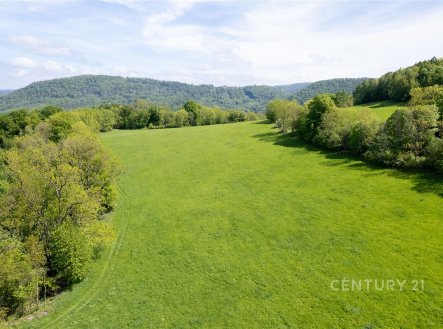 Prodej pozemku, zemědělská půda, 19 126 m²
