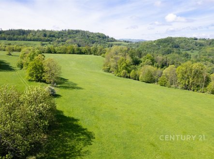 Prodej pozemku, zemědělská půda, 19 126 m²