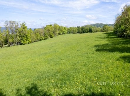 Prodej pozemku, zemědělská půda, 19 126 m²