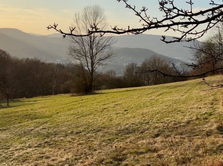 Prodej pozemku, trvalý travní porost, 25 018 m² obrázek
