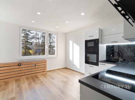 Pronájem bytu, 1+1, 35 m²