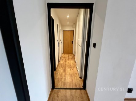 Pronájem bytu, 2+1, 53 m²