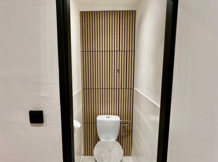 Pronájem bytu, 2+1, 53 m²