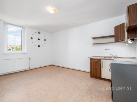 Pronájem bytu, 2+1, 53 m²