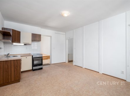 Pronájem bytu, 2+kk, 53 m²