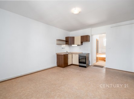 Pronájem bytu, 2+kk, 53 m²