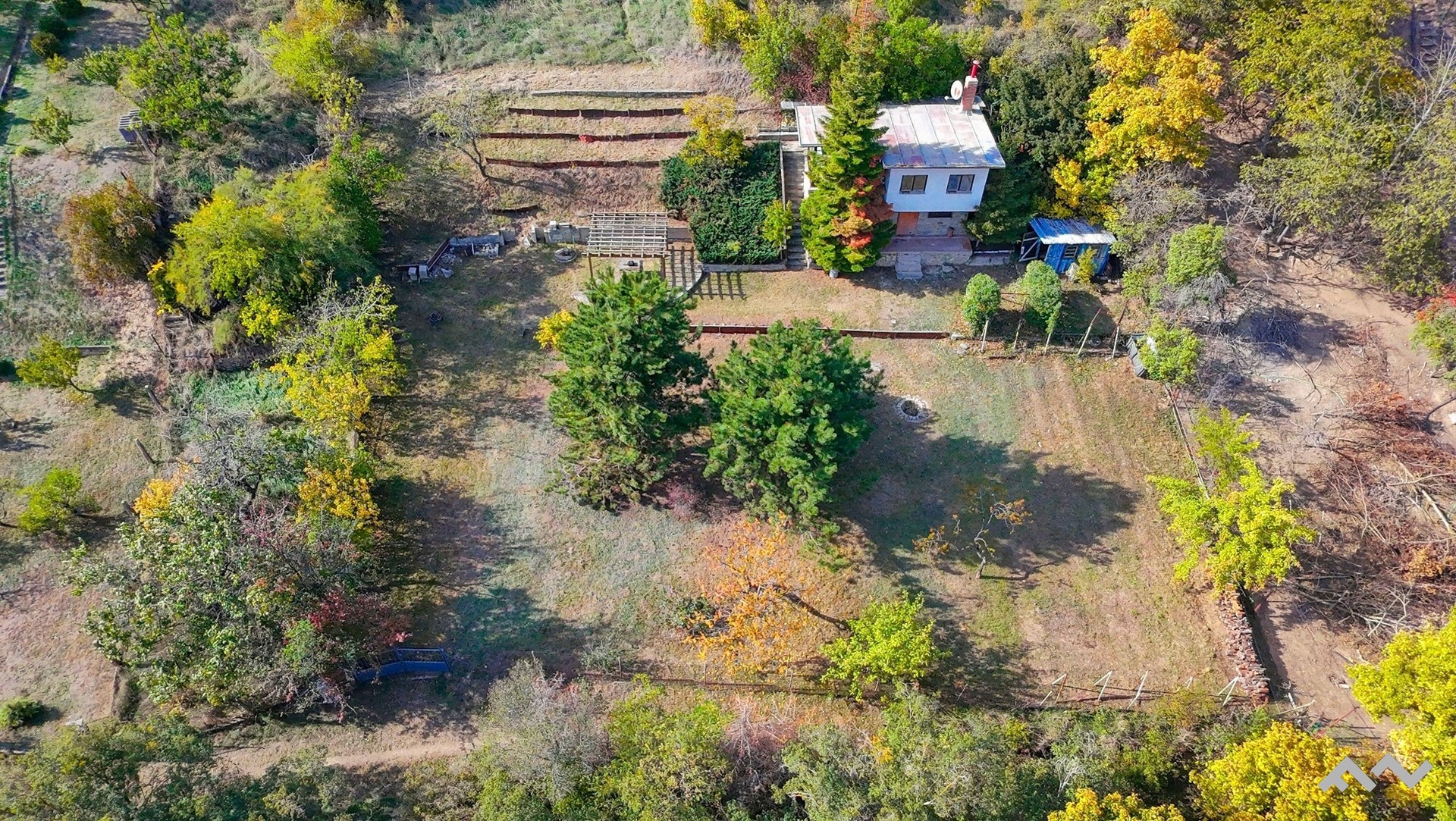 dron (11)