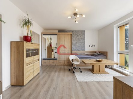 Prodej bytu, 3+1, 55 m²