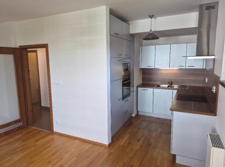 Pronájem bytu, 2+kk, 55 m²
