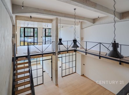 Prodej bytu, 4+kk, 176 m²