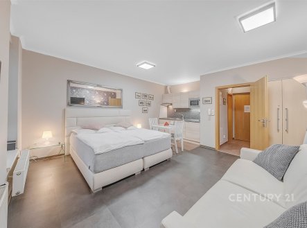 Prodej bytu, 1+kk, 32 m²