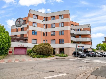 Pronájem bytu, 1+1, 63 m²