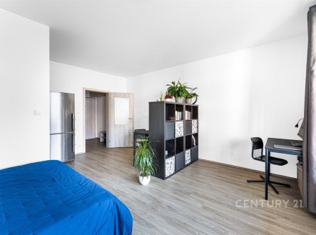 Prodej bytu, 1+kk, 40 m²