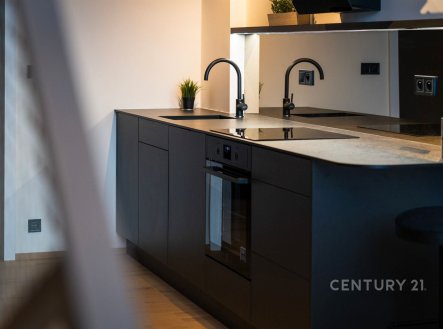 Prodej bytu, 2+kk, 59 m²