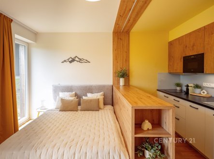 Prodej bytu, 1+kk, 27 m²