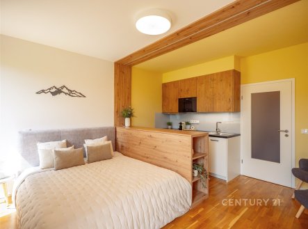 Prodej bytu, 1+kk, 27 m²
