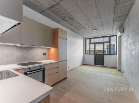 Pronájem bytu, 1+kk, 33 m²