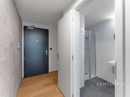 Pronájem bytu, 1+kk, 33 m²