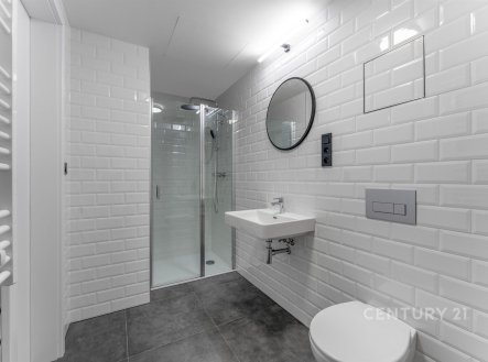 Pronájem bytu, 1+kk, 33 m²