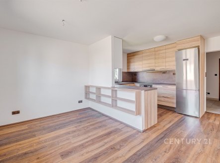 Pronájem bytu, 4+kk, 97 m²